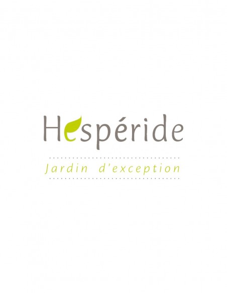 Logo Héspéride