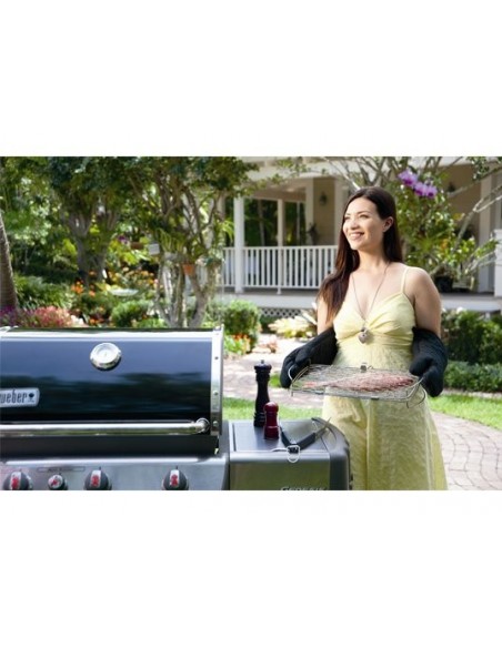 Barbecue weber gaz q3000 Barbecue weber gaz q3000