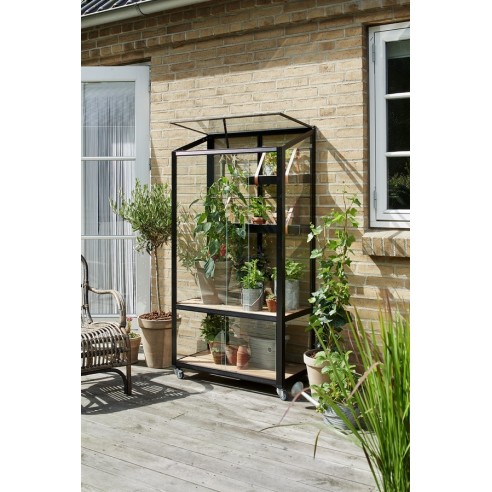 Serre de jardin City Greenhouse noire 0.32 m² en verre trempé 4 mm