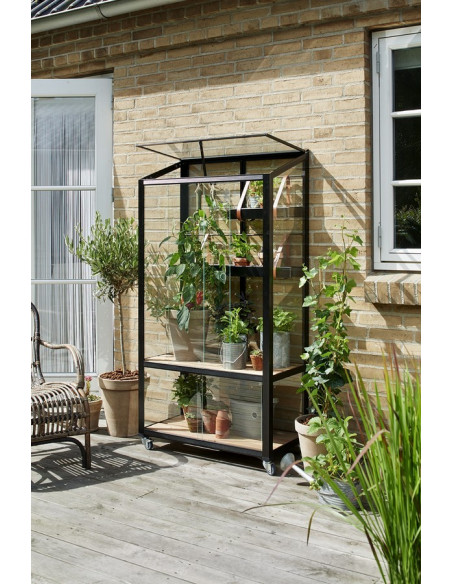 Serre de jardin City Greenhouse noire 0.32 m² en verre trempé 4 mm