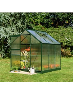 Serre de jardin Popular 3.8 m² laquée verte en polycarbonate 4 mm