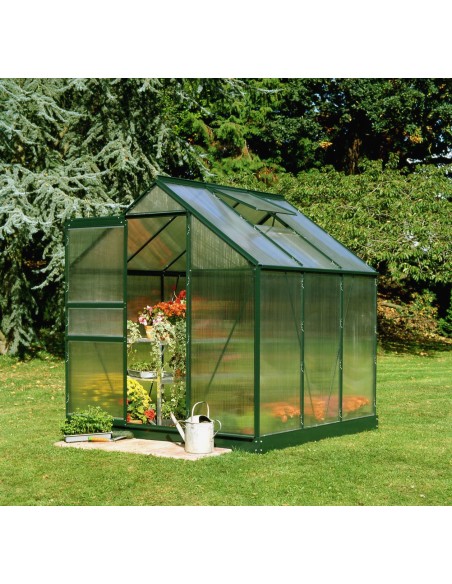 Serre de jardin Popular 3.8 m² laquée verte en polycarbonate 4 mm