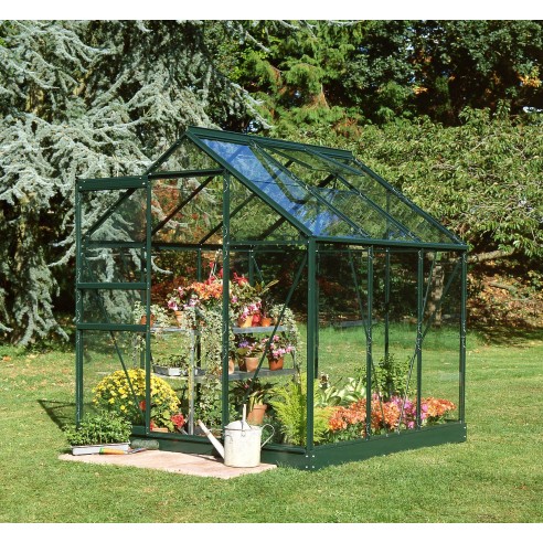 Serre de jardin Popular 3.8 m² laquée verte en verre 3 mm