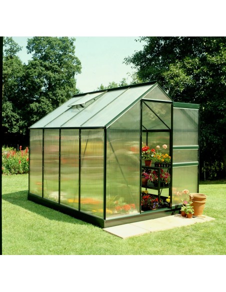 Serre de jardin Popular 5 m² laquée verte en polycarbonate 4 mm