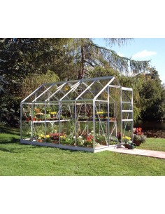 Serre de jardin Popular 6.2 m² en verre 3 mm