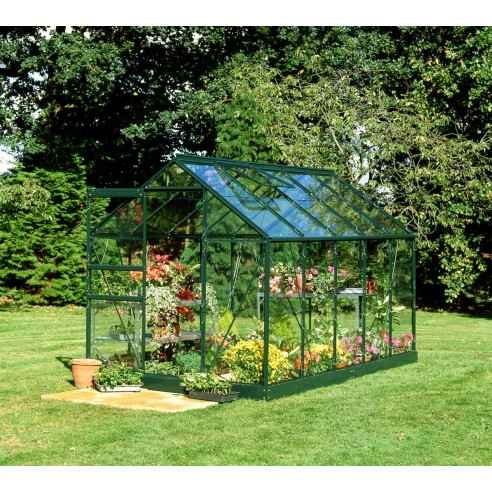 Serre de jardin Popular 6.2 m² laquée verte en verre 3 mm