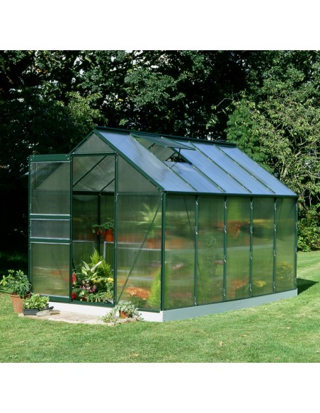 Serre de jardin Popular 6.2 m² laquée verte en polycarbonate 4 mm