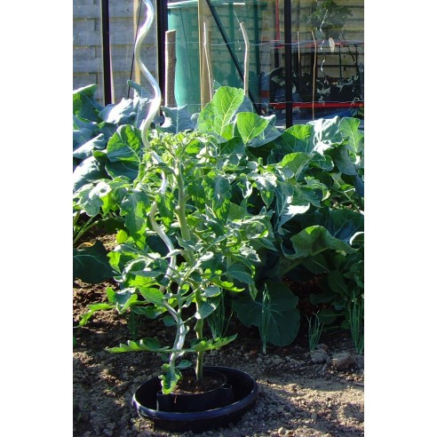 Lot de 3 réservoirs d'eau pour plantes en pot ACD