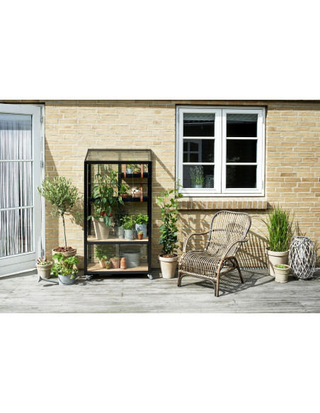 Serre de jardin City Greenhouse noire 0.32 m² en verre trempé 4 mm