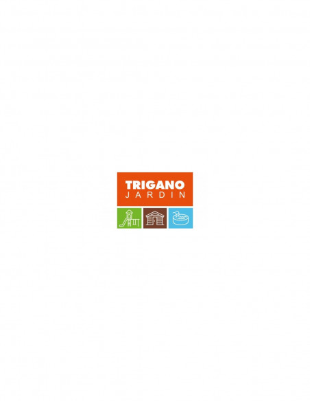 Logo Trigano
