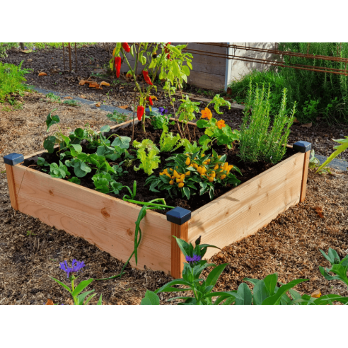 Adoptez le composteur de jardin Biohort