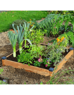 Potager Douglas Premium petit modèle Mon Petit Potager