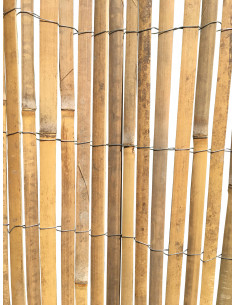 Canisse latte en bambou naturel 1,5 x 3 mètres - JANY