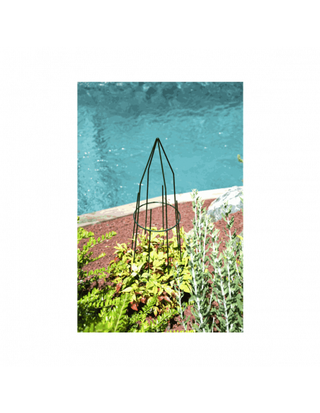 Tipis rond planté dans la terre pour guider la croissance d'une plante en bord de piscine