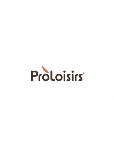 Logo Proloisirs
