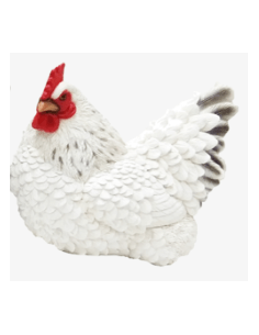 Poule couchée décorative à poser - Blanc