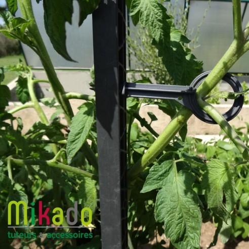 Lot de 6 attaches pour tuteur à tomate MIKADO 180 cm