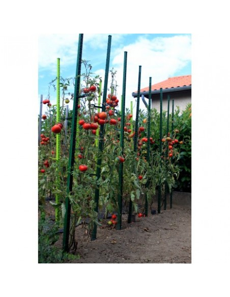 Tuteur à tomate MIKADO 180 cm vert foncé ou anthracite
