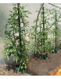 Tuteur à tomate MIKADO 180 cm vert foncé ou anthracite