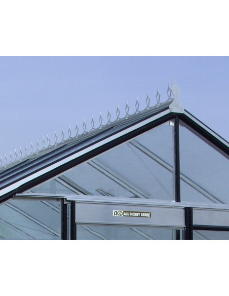 Décoration faitière aluminium naturel pour serre  ACD - 5 vitres