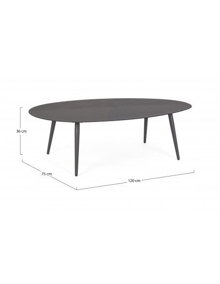 Achat Table basse RIDLEY - 120 x 75 cm - Aluminium - BIZZOTTO