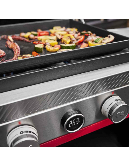 Achat WEBER - Plancha gaz Premium SLATE GPD 76 cm sur chariot