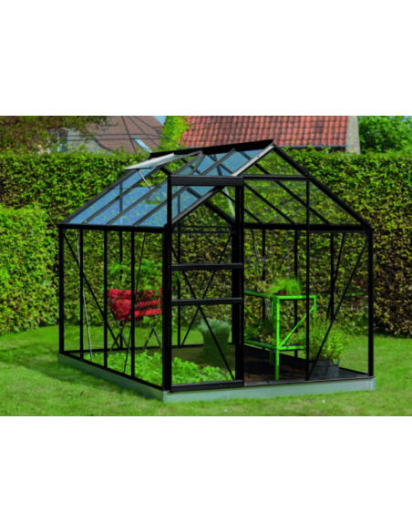 Serre de jardin Ivy 5 m² en verre trempé sécurit de 3 mm - Noir