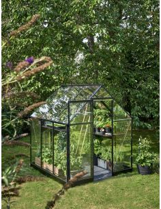 HALLS - Serre de jardin Qube 3.9 m² verre trempé de 3 mm