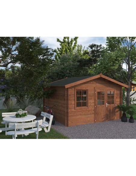 Abri de jardin en bois