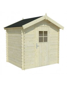 Abri de jardin Pablo I 2.9 m² en bois massif 19 mm