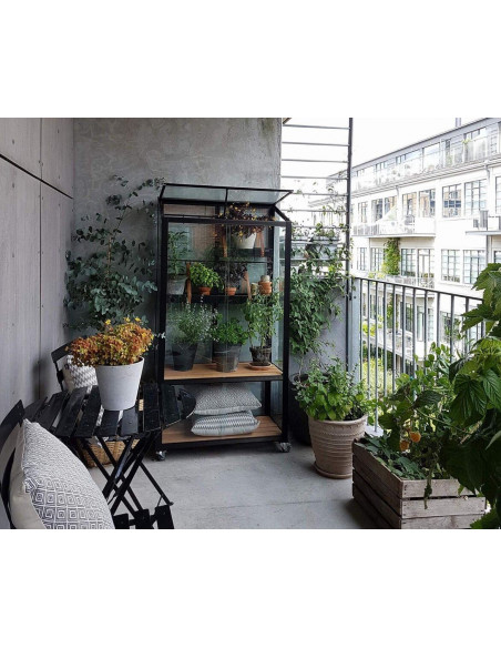 Serre de jardin City Greenhouse noire 0.32 m² en verre trempé 4 mm