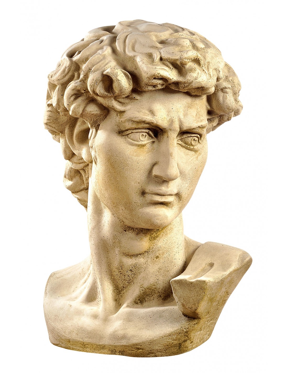 Bust of David by Michelangelo. 45x60cm - Sale of art statues