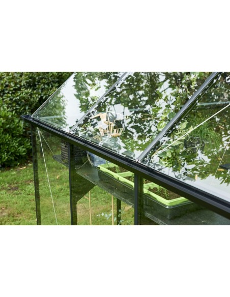Serre de jardin Qube 5.1 m² en verre trempé sécurit de 3 mm