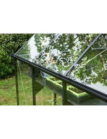 Serre de jardin Qube 3.9 m² en verre trempé sécurit de 3 mm