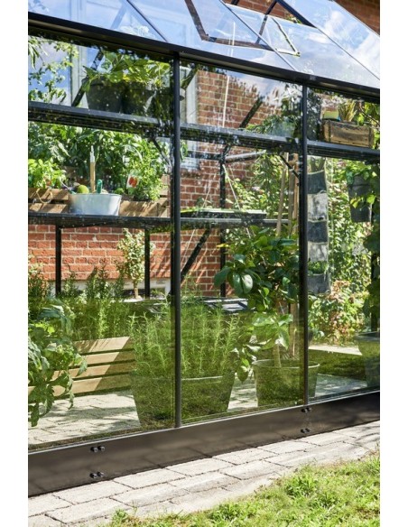 Serre de jardin Qube 3.9 m² en verre trempé sécurit de 3 mm
