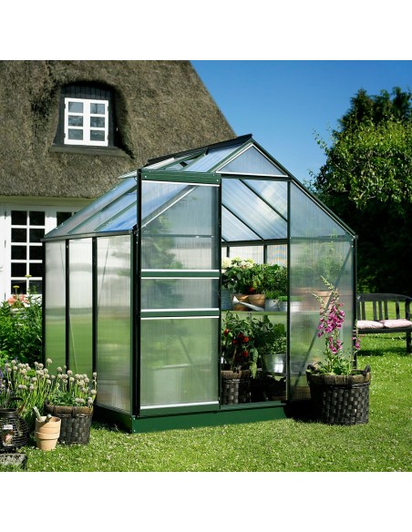 Serre de jardin Popular 3.8 m² laquée verte en polycarbonate 4 mm