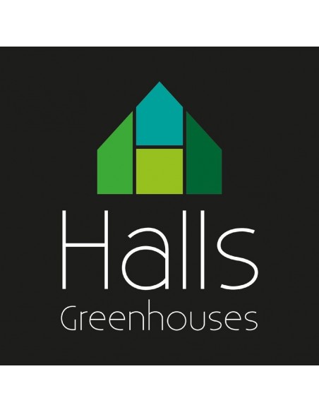Serre Popular HALLS 3.8 m² laquée verte - Polycarbonate de 4 mm