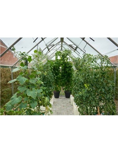 Serre de jardin Popular 5 m² laquée verte en polycarbonate 4 mm