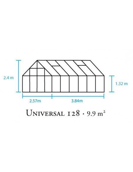 Serre de jardin Universal 9.9 m² en verre 3 mm