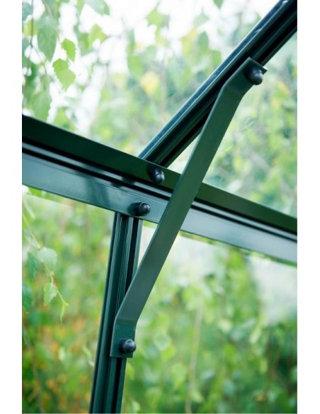 Serre en polycarbonate 6 mm Magnum 9.9 m² laquée verte