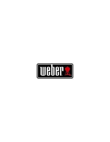 Plancha en fonte d'acier pour barbecue Weber série Q 2000