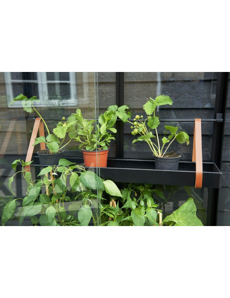 Serre de jardin City Greenhouse noire 0.32 m² en verre trempé 4 mm