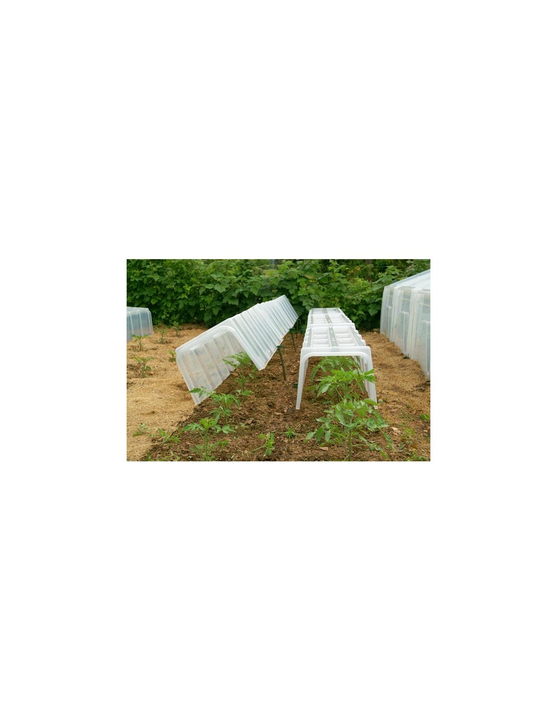 Lot de 3 tunnels de forçage Modul'o 40   2 embouts   10 piquets - Pouss ...