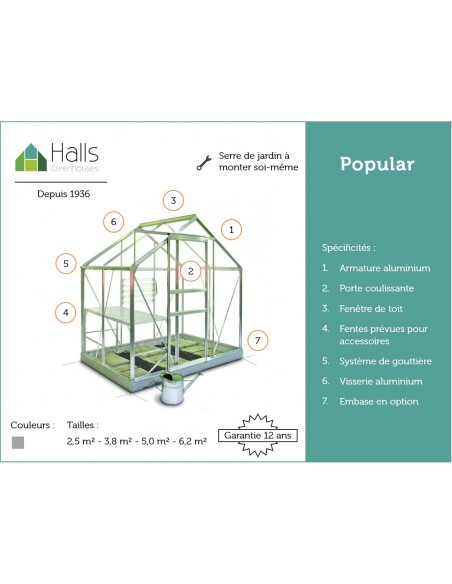 Serre de jardin Popular 6.2 m² en verre 3 mm