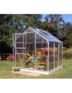 Serre de jardin Popular 3.8 m² en polycarbonate 4 mm