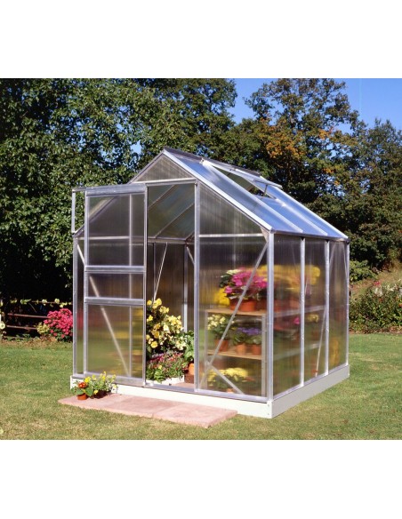 Serre de jardin Popular 3.8 m² en polycarbonate 4 mm