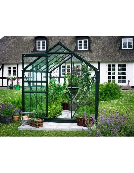 Serre de jardin Popular 6.2 m² laquée verte en verre 3 mm