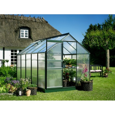 Serre de jardin Popular 6.2 m² laquée verte en polycarbonate 4 mm