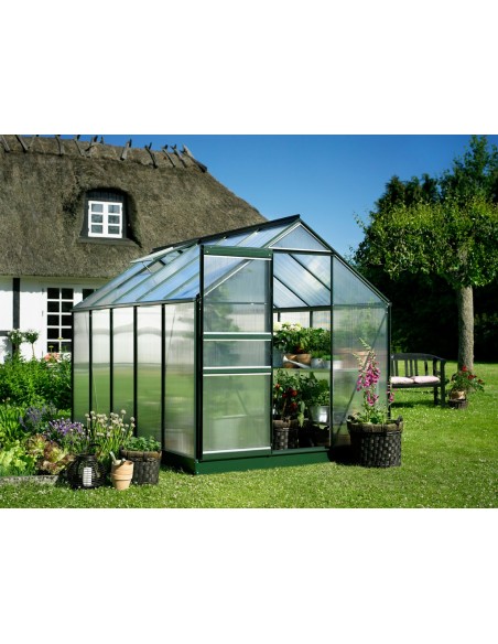 Serre de jardin Popular 6.2 m² laquée verte en polycarbonate 4 mm