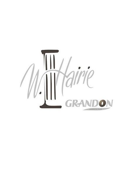 Logo Hairie Grandon